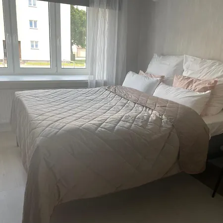 Oja 29